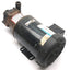 Used March TE-7R-MD Pump With Marathon 4VK56T34F5600B AC Motor, 3PH, 3/4HP, 53 GPM