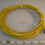 New Balluff Sensor cable 3-pin BKS-S21-E-15FT