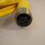 New Balluff Sensor cable 3-pin BKS-S21-E-15FT